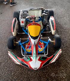 Tony Otk modello Alonso mini 60 motore Rok