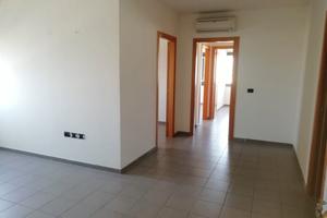 Affittô uffici varie tipologie carinaro teverola