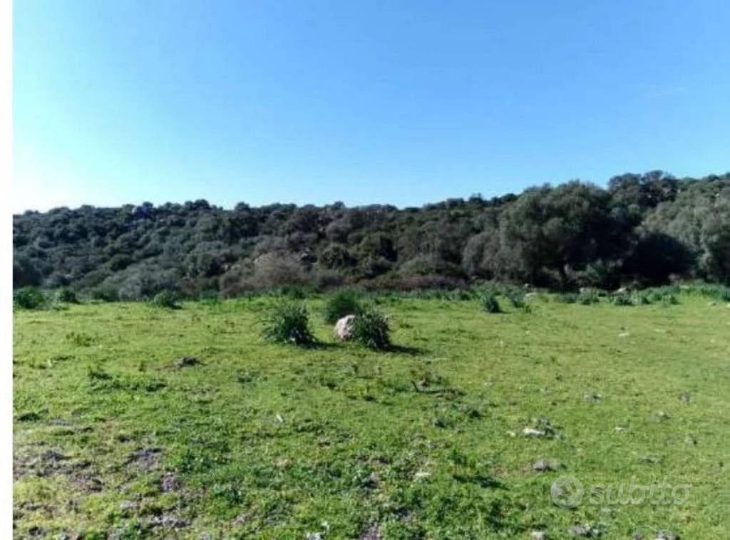 Immobile in asta di 315654 m² a Orotelli - Vista 3