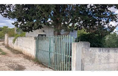 Terreno con deposito