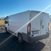 FURGONE FRIGO CON GANCERA TRASPORTO CARNE