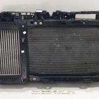 CALANDRA CON KIT RADIATORI PEUGEOT 2008 Serie 9859