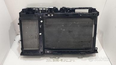 CALANDRA CON KIT RADIATORI PEUGEOT 2008 Serie 9859