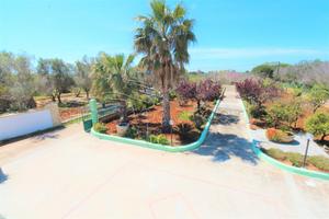 Villa spaziosa e luminosa vicina alle spiagge sabb