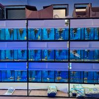 acquario batteria allevamento negozio 