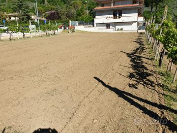 Terreno edificabile ad intervento diretto Foligno