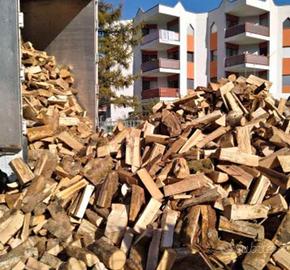 legna da ardere stagionata 