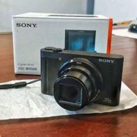 Sony wx500