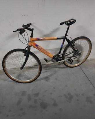 Bici mountain bike 