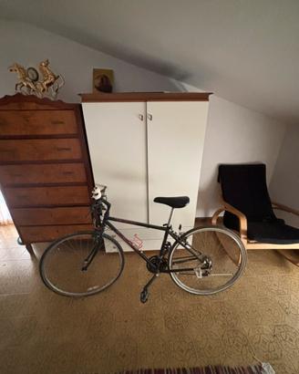 Bici specialized donna