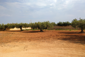 Terreno edificabile tonnarella Mazara del Vallo