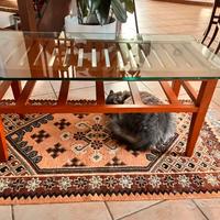 Tavolino soggiorno con ripiano in vetro