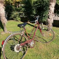 Bicicletta city bike Vicini