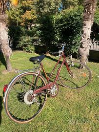 Bicicletta city bike Vicini