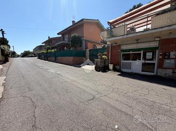 NEGOZIO A SAN CESAREO