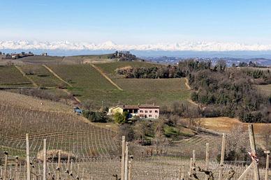 TIPICO CASCINALE CON VIGNETI NEL MONFERRATO