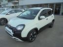 fiat-panda-1-0-firefly-s-s-hybrid-pandina