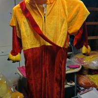 costume Winnie the pooh