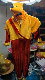costume Winnie the pooh
