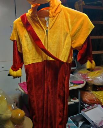 costume Winnie the pooh