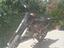 Immagine 2