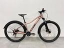 mtb-cube-access-ws-usata-