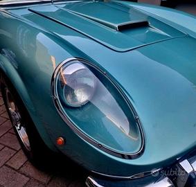 California Spider 250