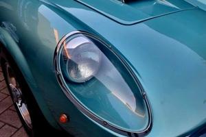 California Spider 250