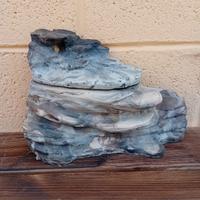 spieggetta tartarughiera