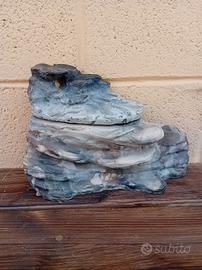 spieggetta tartarughiera