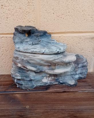 spieggetta tartarughiera