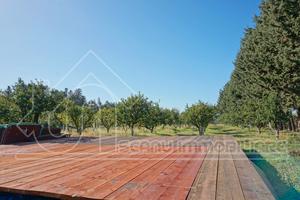 Monastir terreno con progetto approvato