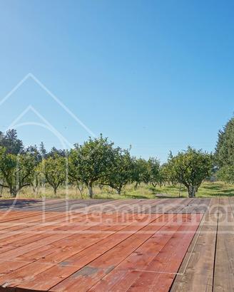 Monastir terreno con progetto approvato