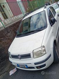 splendida panda