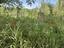 Immagine 28