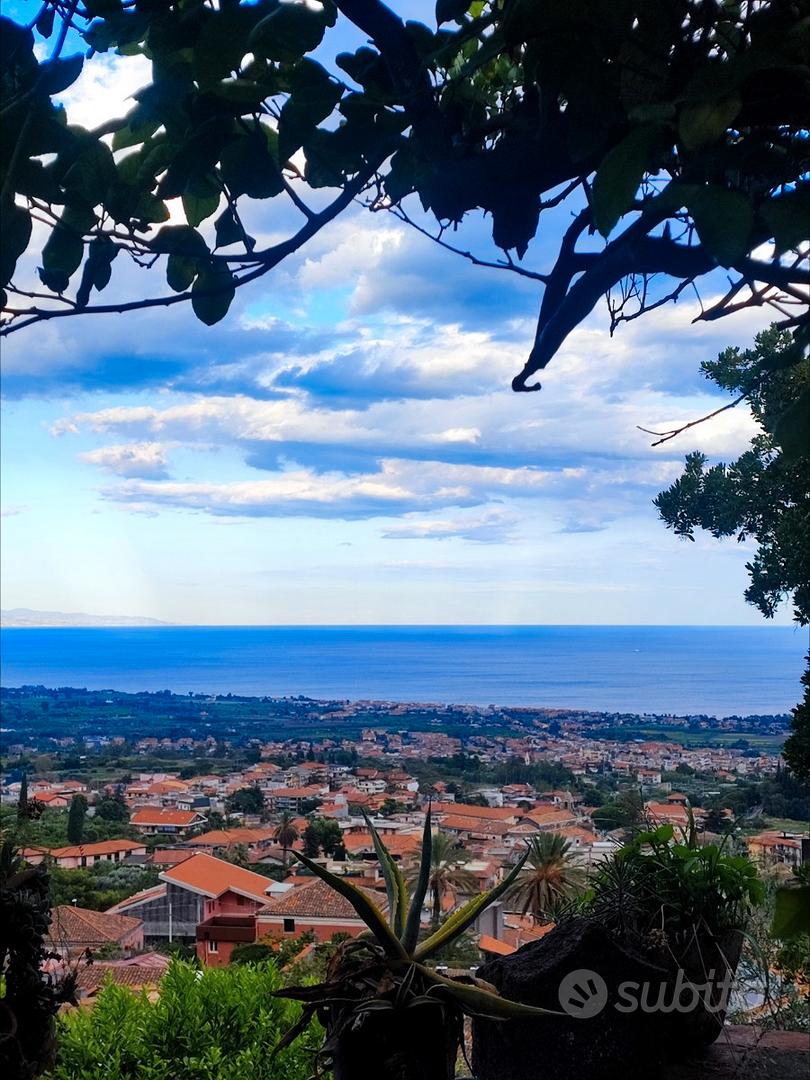 Agrumeto panoramico - Vista 3