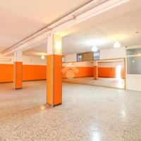 CAPANNONE A PALAZZOLO SULL'OGLIO