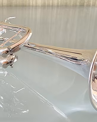 Tromba in Sib Bach TR300  Silver