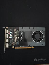 Scheda video nvidia QUADRO P2000 EIZO