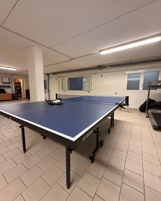 Ping pong JOOLA Indoor J15 + racchette + copertura