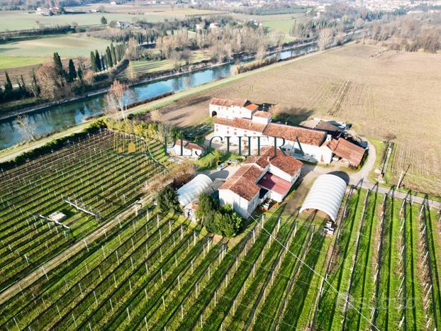 Azienda Agricola - Valeggio sul Mincio