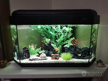 Acquario angolare completo Poseidon, capacità 70 L
