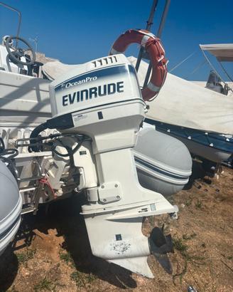 Motore Fuoribordo  90cv 2 tempi
