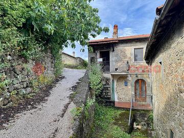 Appartamento Minucciano [UM239GBVRG]