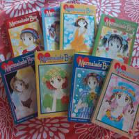 manga Mamalade Boy collection 