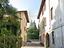 Immagine 8