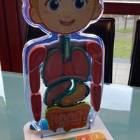 Corpo umano Oregon Scientific Smart Anatomy