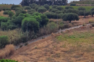 Appartamento a San leone