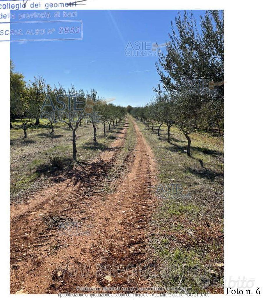 Terreno Agricolo Conversano [A4322887] - Altro