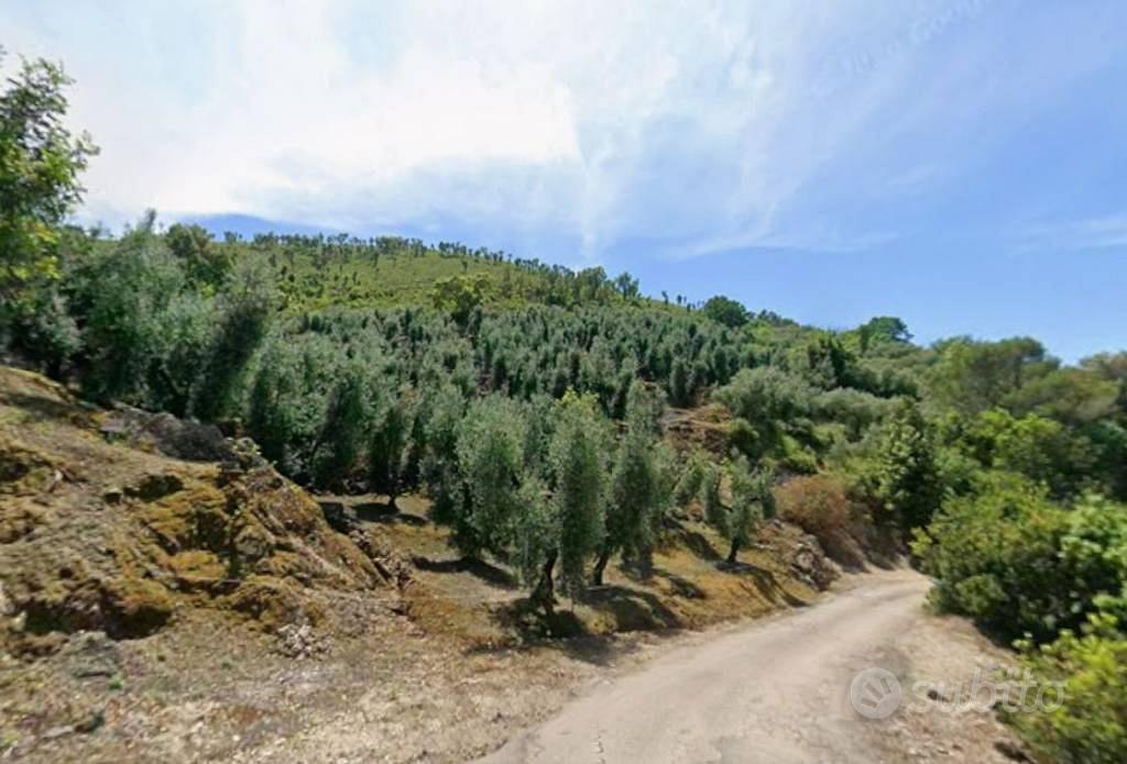 Terreno di 3470 m² a Itri - Vista 5